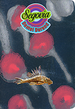 Para un plan primavera